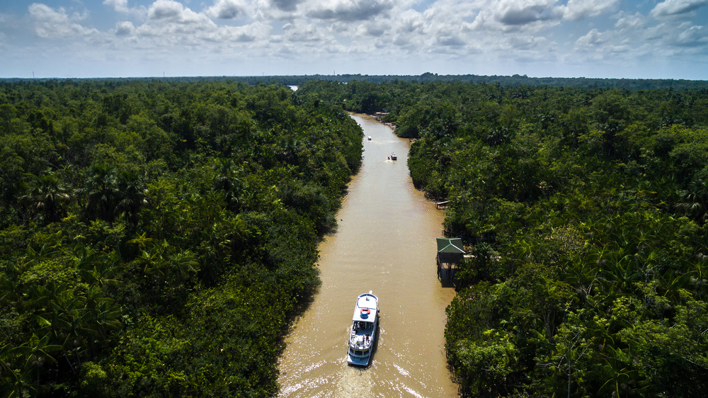 tropical rain forests can be conserved by minimizing energy use with energy storage power electronic converters
